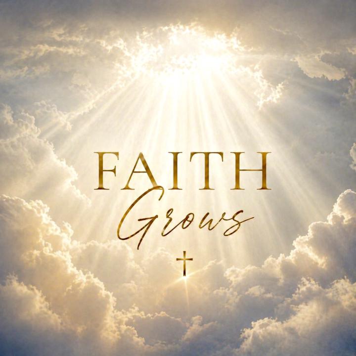  Hard seasons can produce endurance. Endurance can shape wisdom. Wisdom can deepen faith. And faith anchors us in the goodness of God.