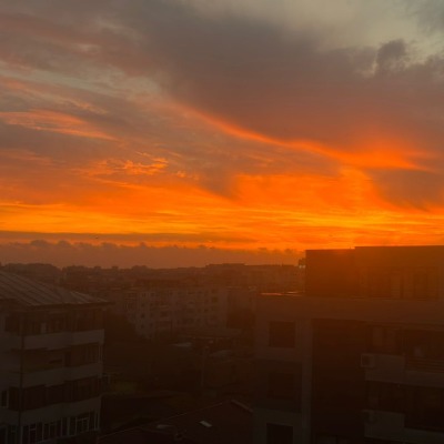 Petcu Luca-Alexandru