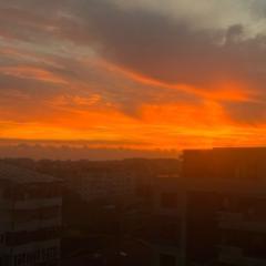 Petcu Luca-Alexandru