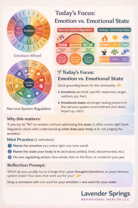 Emotion vs. Emotional State 🌱