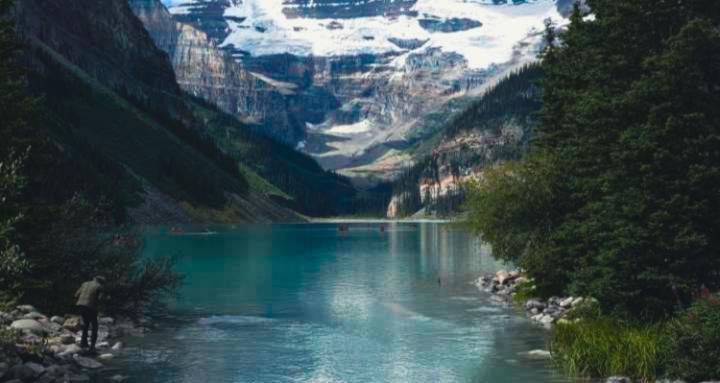 The Aligned Collective