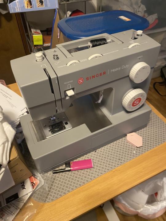 Meet Gray Boy and Suzy Q