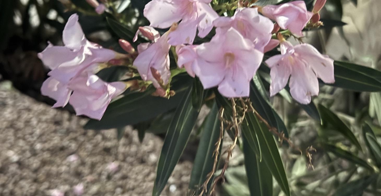 The Sacred Story Workbook