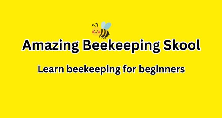 Amazing Beekeeping Skool