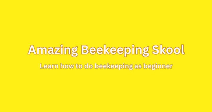 Amazing Beekeeping Skool