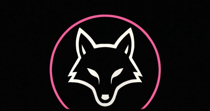 Starfox: Limitless