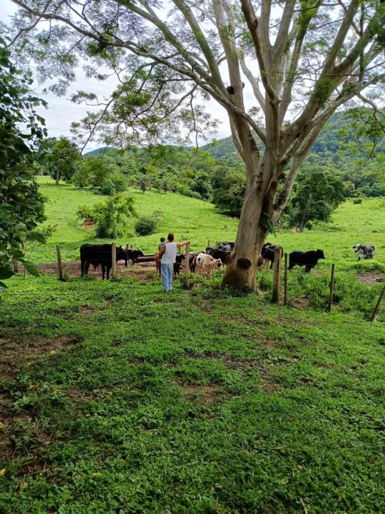 Erick Helbingen Campos