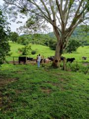 Erick Helbingen Campos