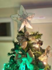 Danijela Nedeljkovic