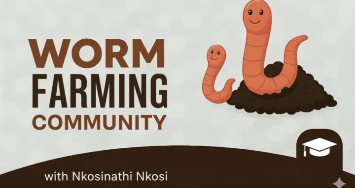 Worm Farming Community 