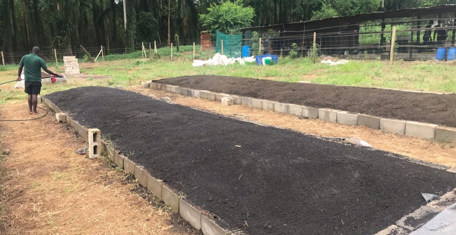 Commercial Vermicomposting Mastery 🌱🪱