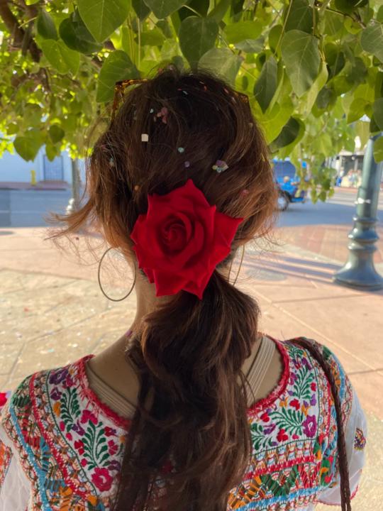 Aiko Strasser