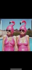 Delphine Cappe
