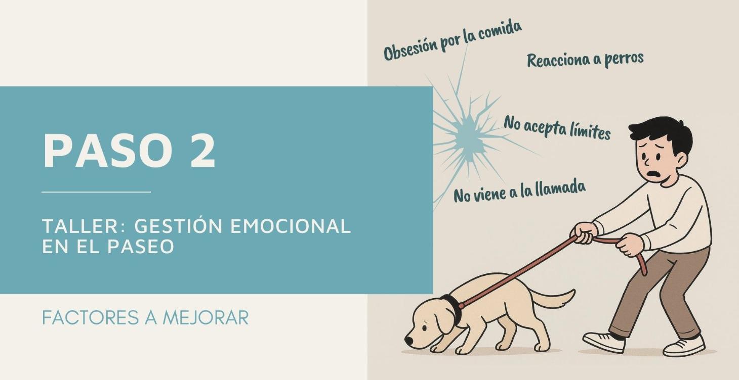 2. Gestión emocional en el paseo