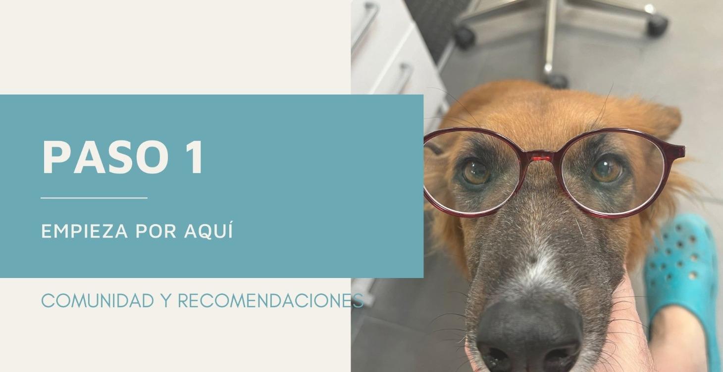 1. Empieza por aquí