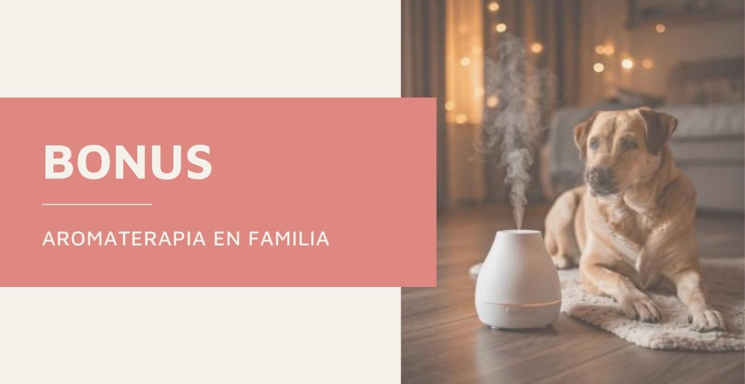 Nivel 5. Aromaterapia en familia