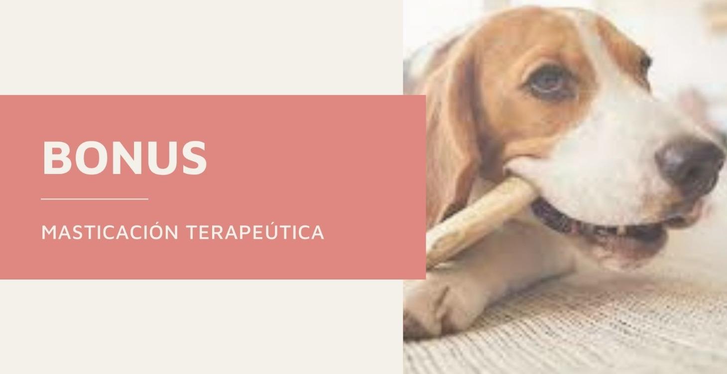 Nivel 7. Masticación terapeútica