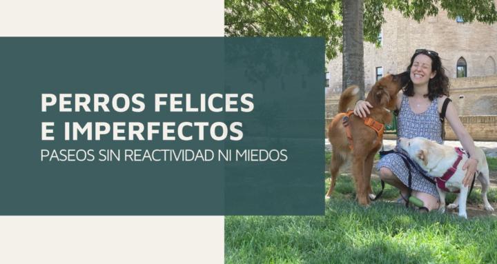 Perros felices e imperfectos