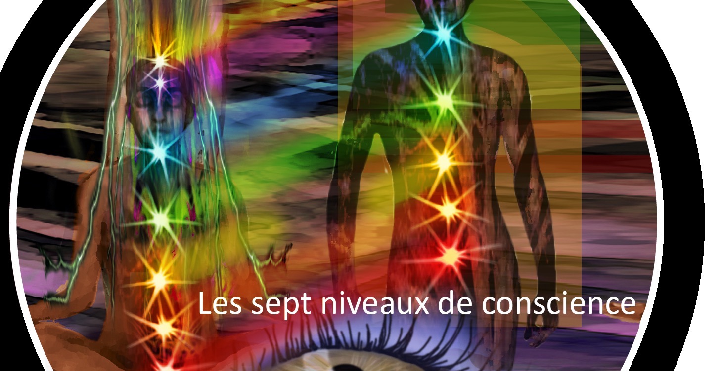 Introduction au jeu de carte Spirale Evolutive 3h