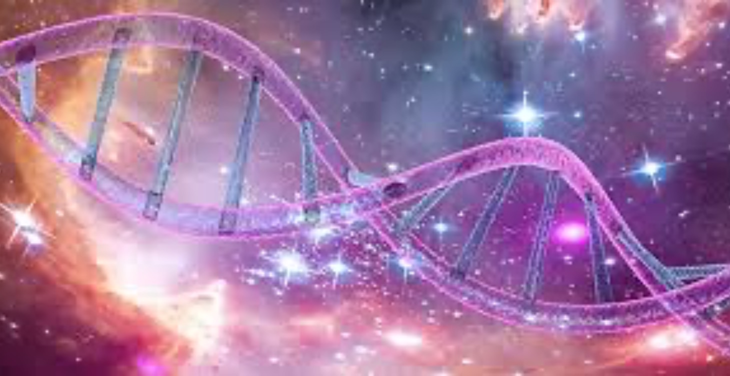 Voyage dans la mémoire cellulaire déprogrammation