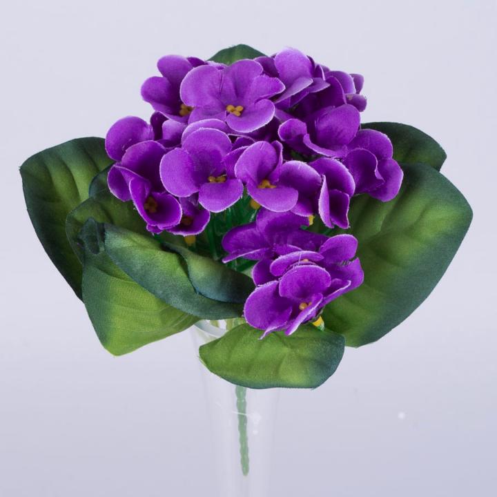 Виолетта Шамсиева