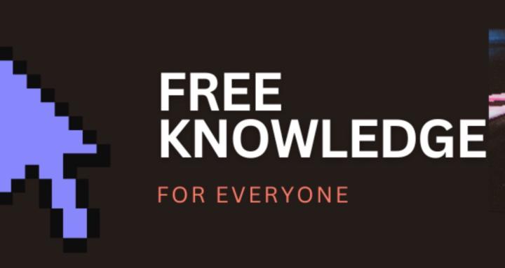 Segan AI: Automation & Systems