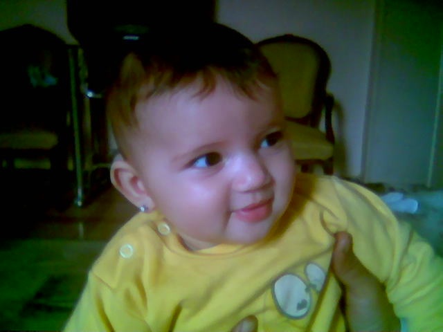 Tarek Gamil