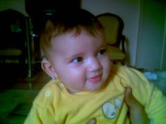 Tarek Gamil