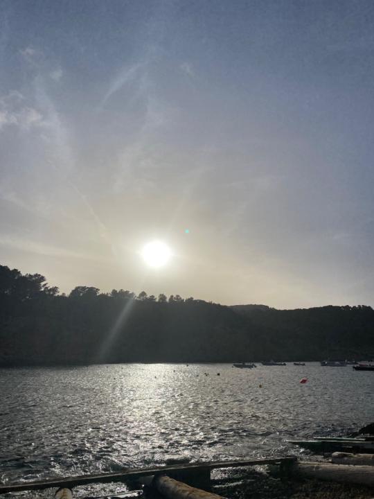 David Consonni costa