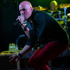 Pete Chiappinelli