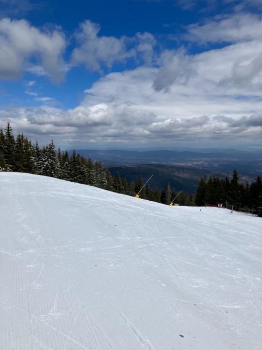 Ben Norris