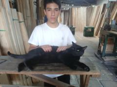 María Angelica Guevara Vargas