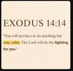 Tenth Day