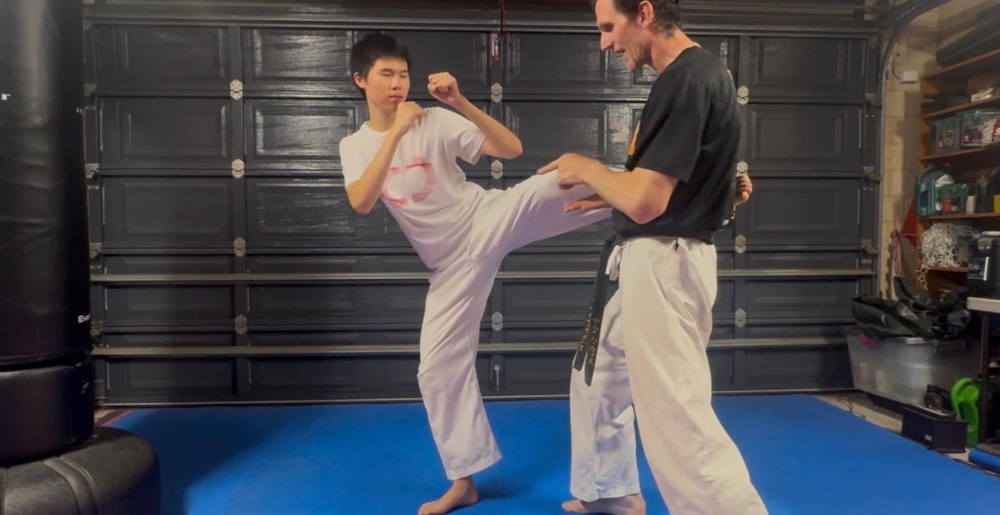Capture a round house kick