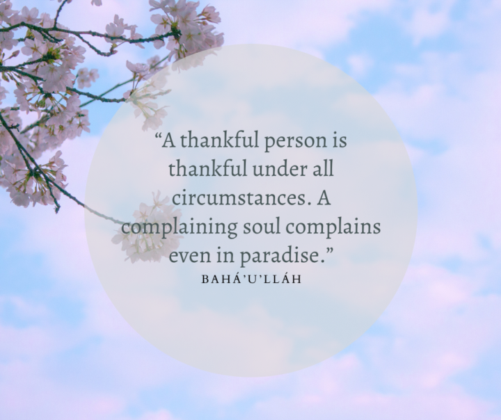 Quote of the Day