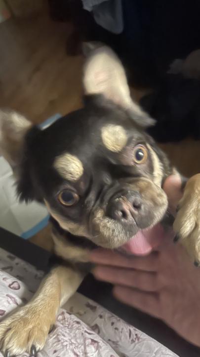 Please introduce yourself!