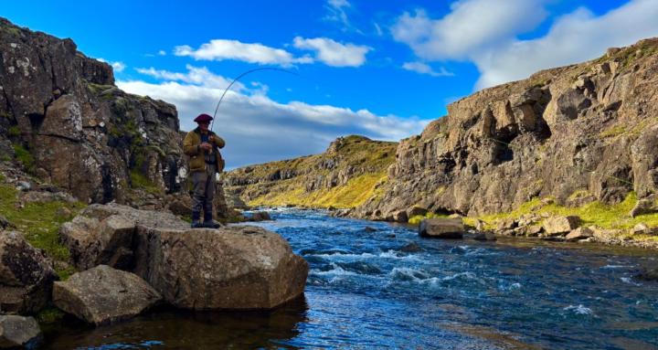 Fly Fishing
