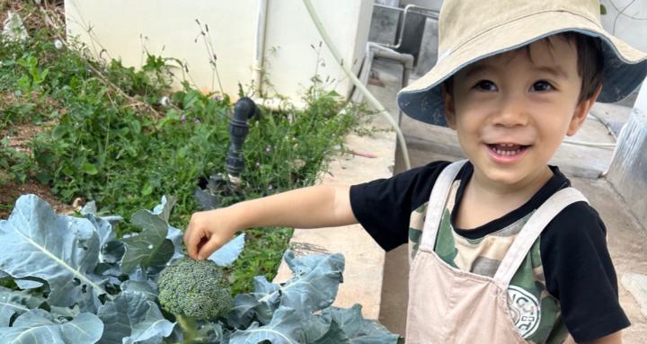 Perennial, Eco-Produce (PEP)