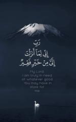 Mahdi Kun