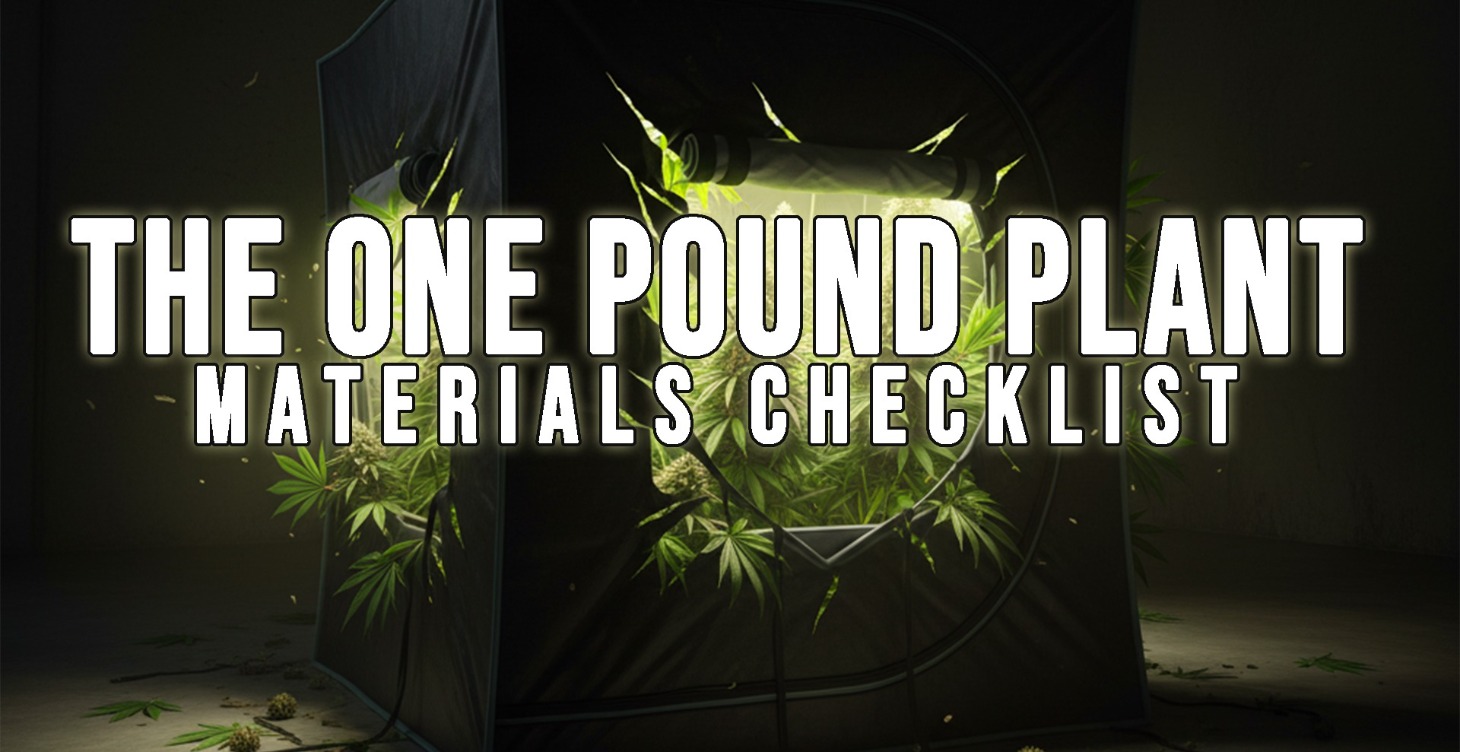 1 LB Plant Setup Checklist
