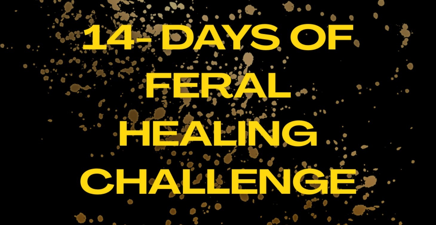 🌿 14-Day Feral Healing Journey