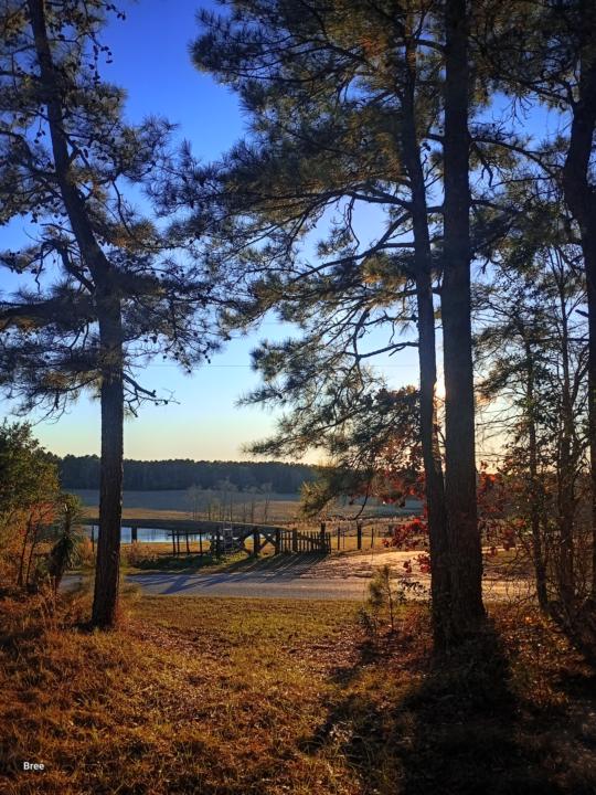 View from a Graveyard 