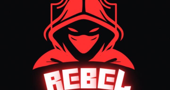 Rebel Fitness academy