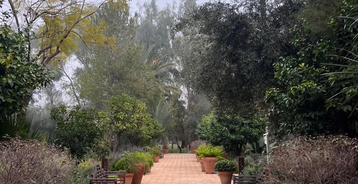 Entraînement Maroc 🇲🇦