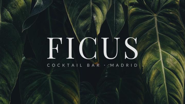 Where do you work? Bars represented 🍸🌍