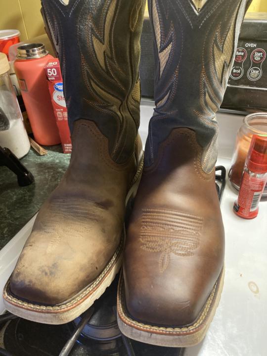 Polishing ariat cowboy boots