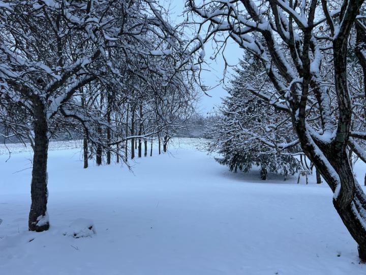 Snowy Days on the Farm