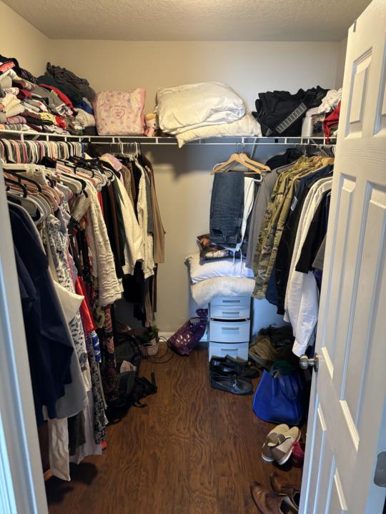 Easy Closet Renovation 