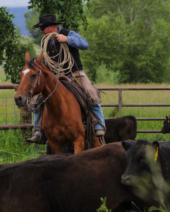 Branding the other day and looking good doing it.