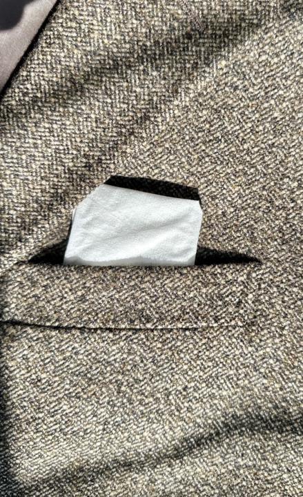 I asked Gemini AI: mostly green or mostly brown?